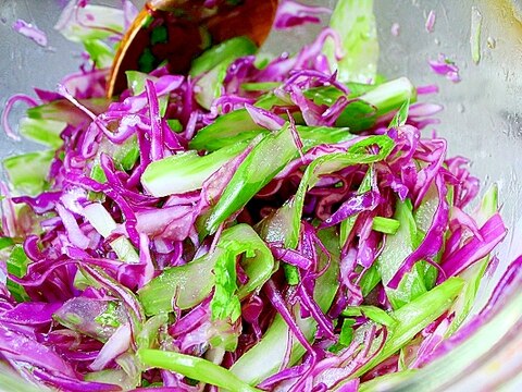 セロリと紫キャベツのサラダ